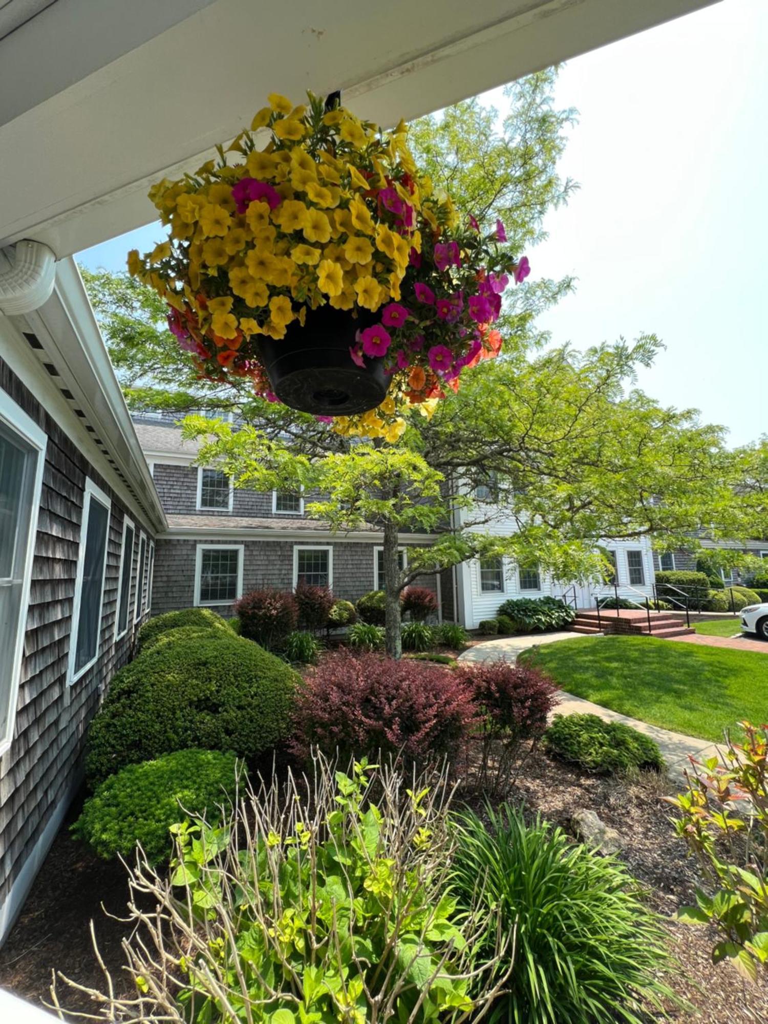 Chatham Wayside Inn Eksteriør bilde